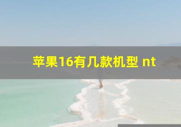 苹果16有几款机型 nt